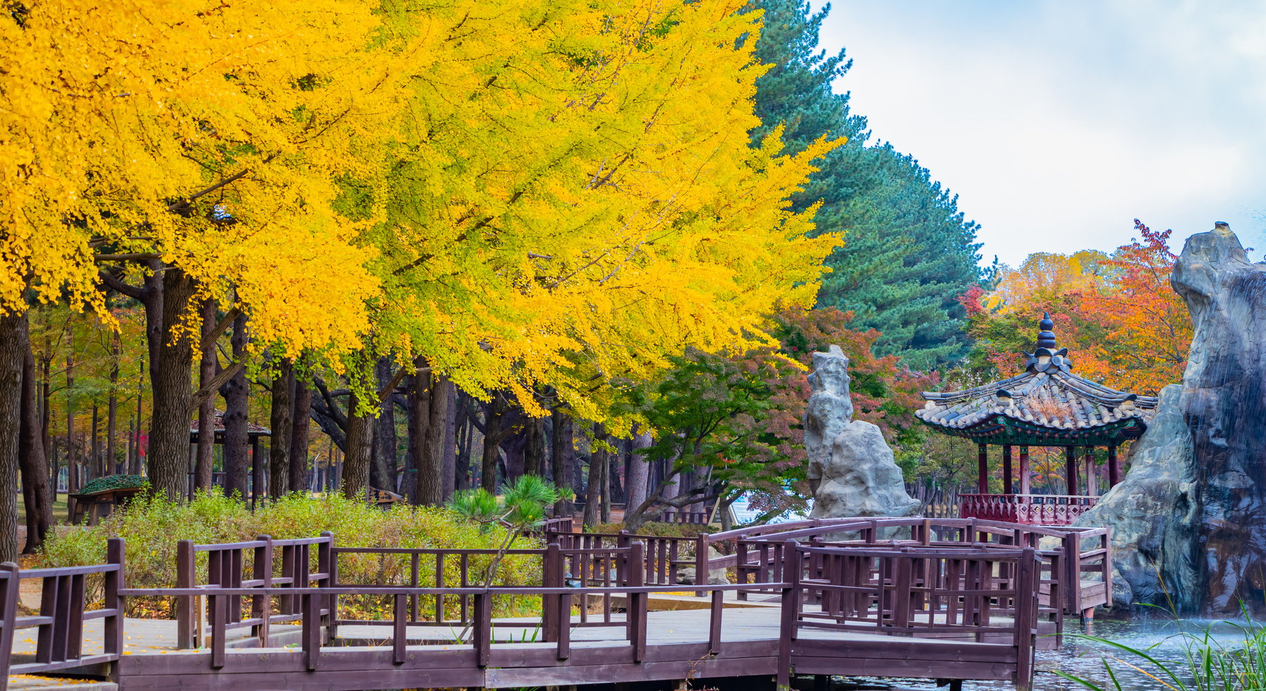 Autumn in Nami Island, South Korea