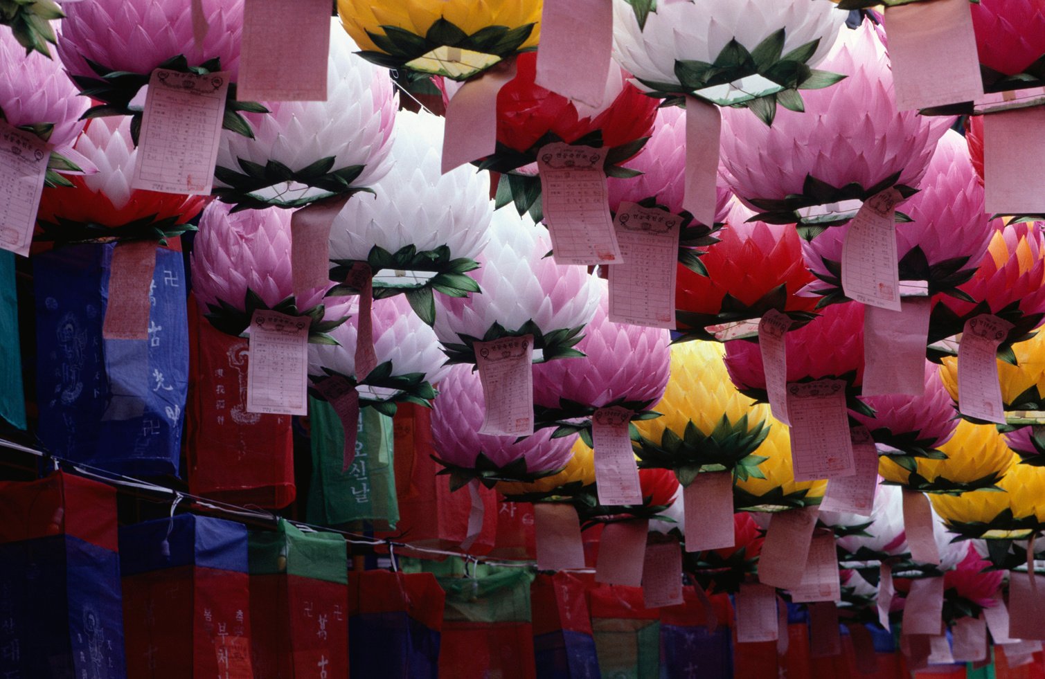 Paper lanterns, Seoul, South Korea